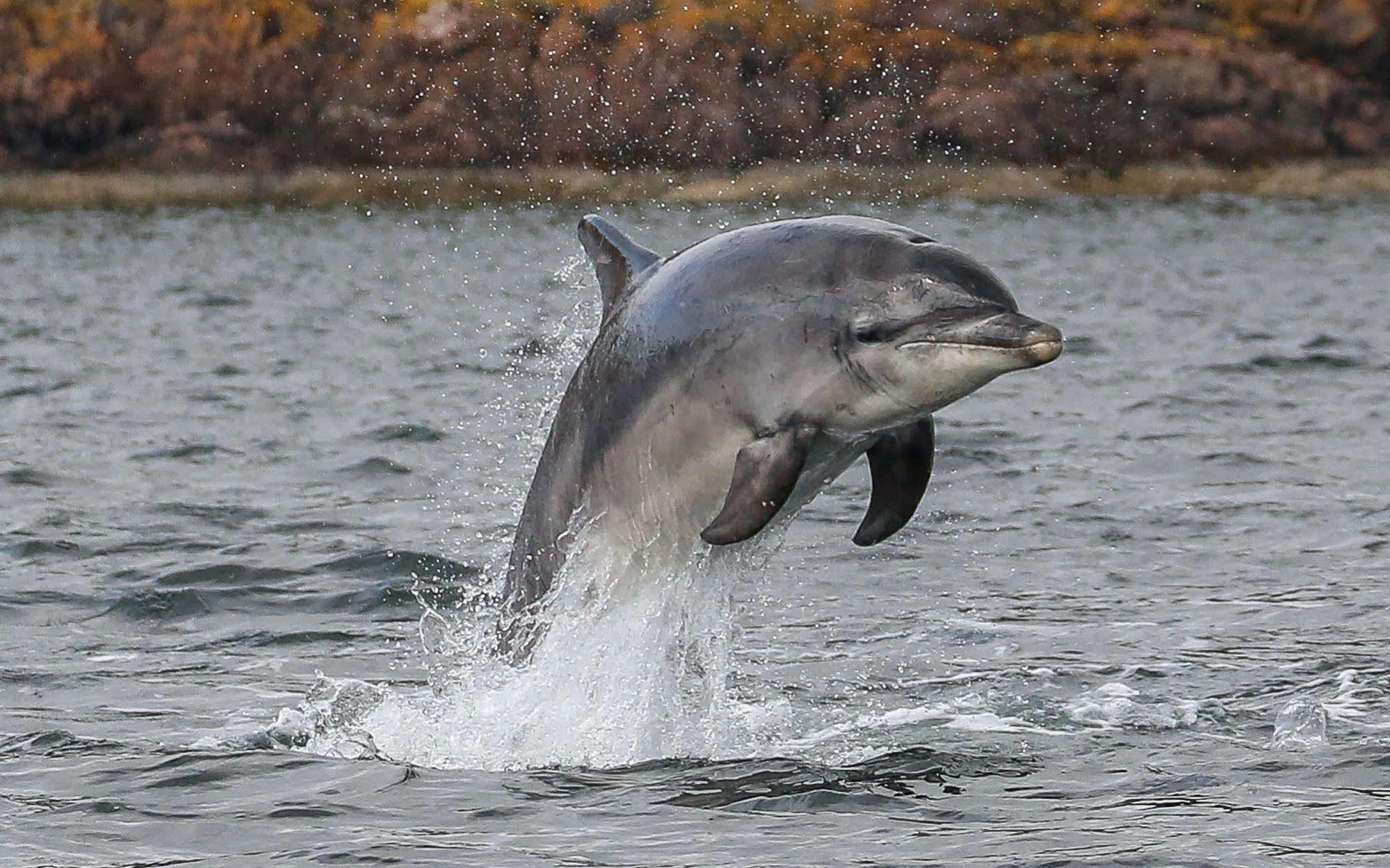 Jomarnic B&B Lossiemouth Kültér fotó